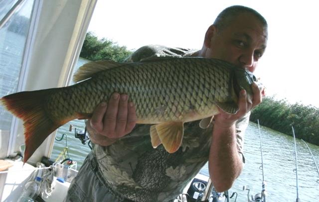 capturi - GEDC0128.JPG